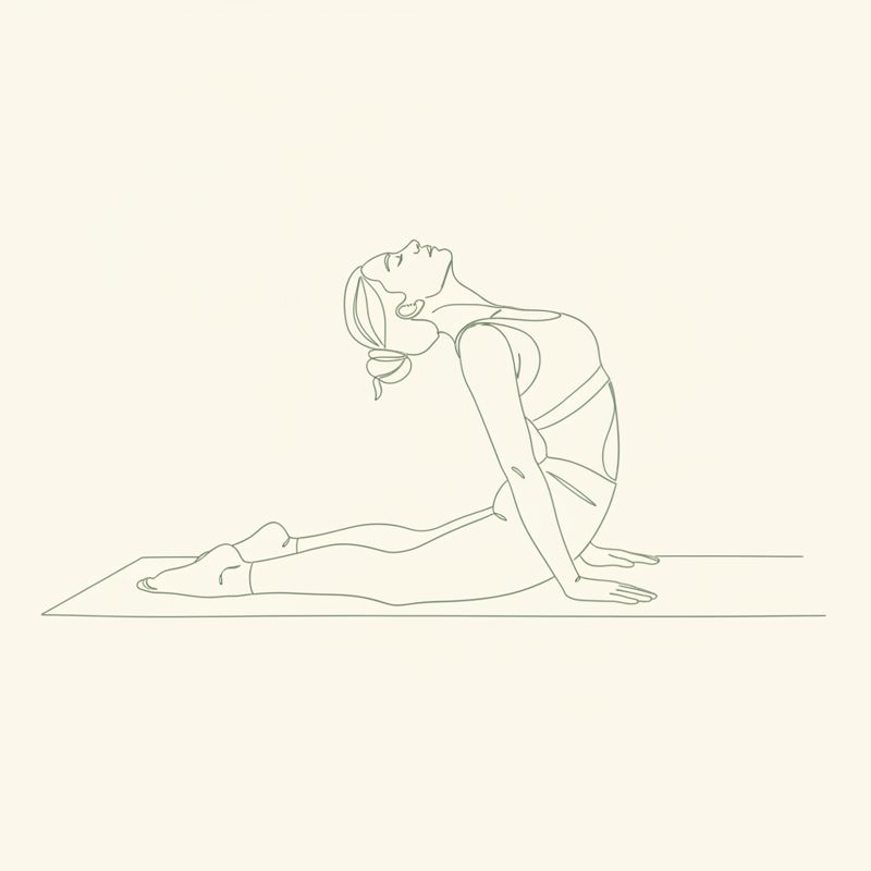 Lying Diamond Pose yoga pose illustration